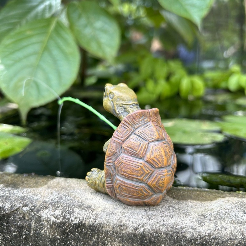 Schildpadvissen aquarium aquar - Marine Aquarium Tanks recensie en prijs