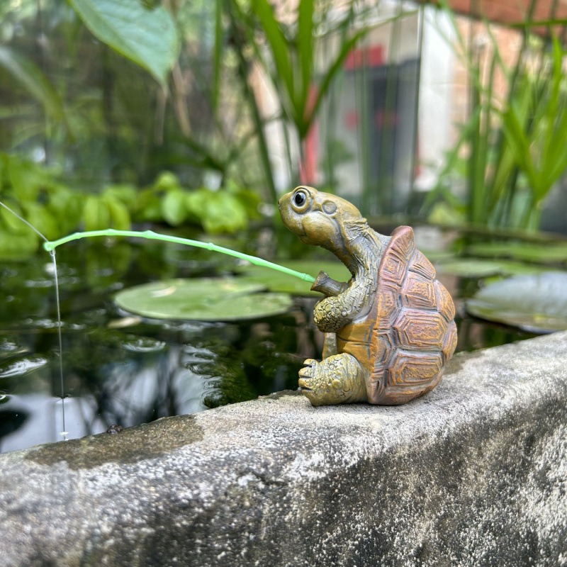 Schildpadvissen aquarium aquar - Marine Aquarium Tanks recensie en prijs