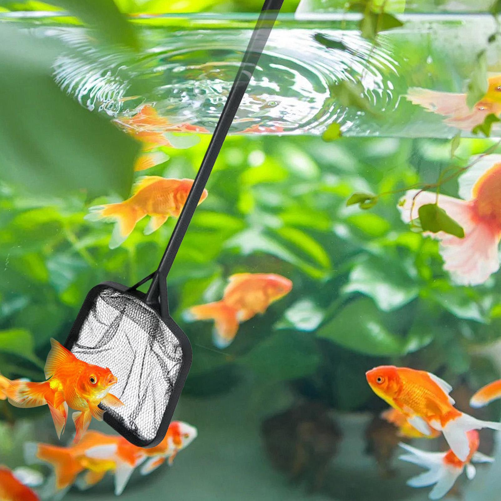 Zwembadnetten voor het reinige - Marine Aquarium Equipment recensie en prijs
