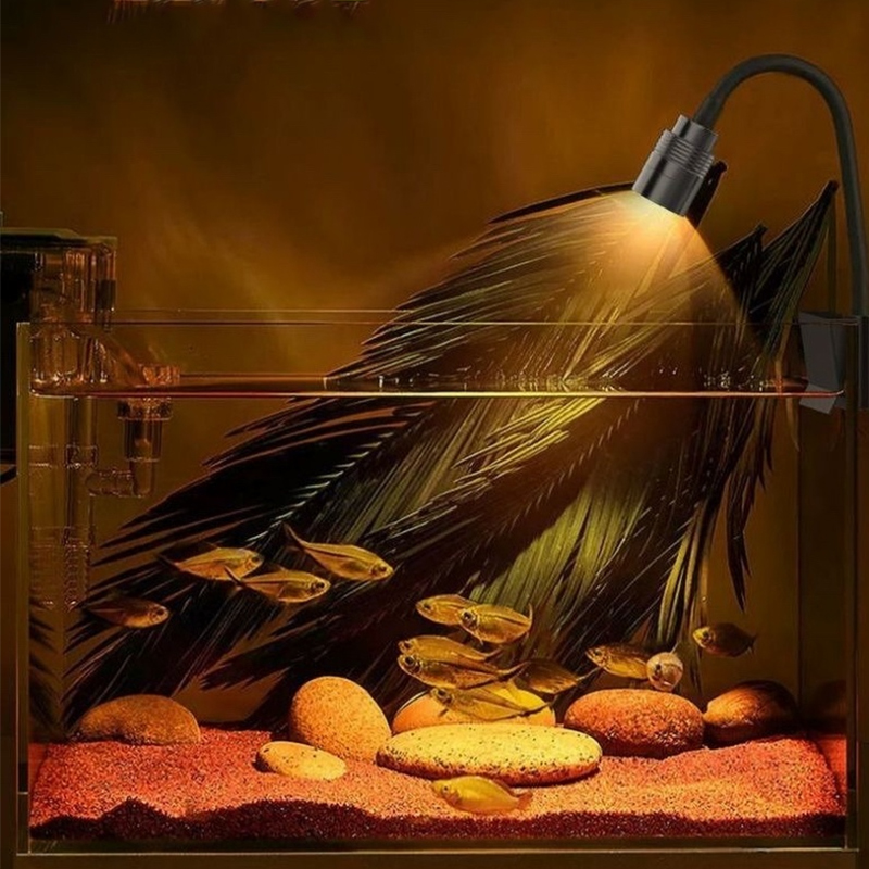 3W Zuid-Amerikaanse Aquarium S - Marine Aquarium Tanks recensie en prijs