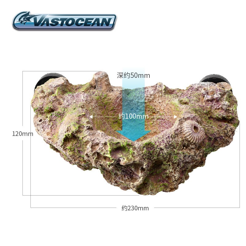 VASTOCEAN Magnetische Anemoon  - Coral Frag Plug recensie en prijs