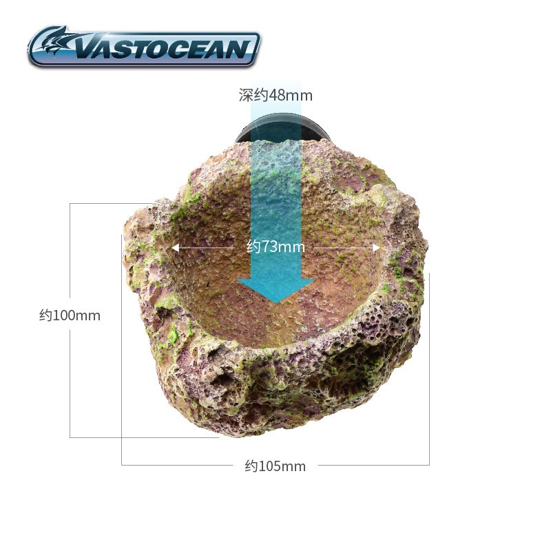 VASTOCEAN Magnetische Anemoon  - Coral Frag Plug recensie en prijs