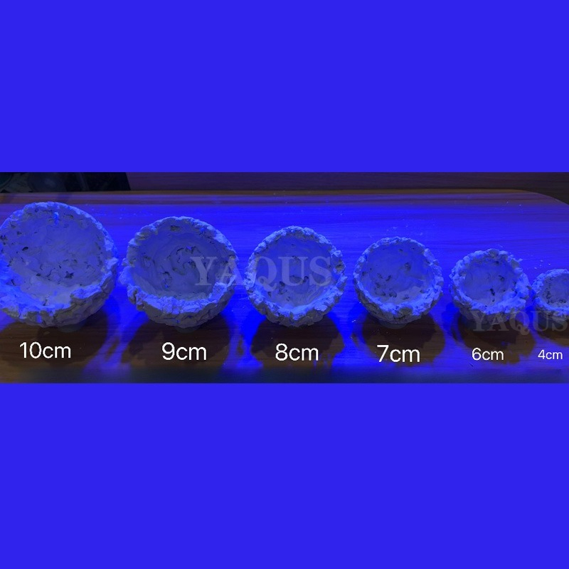 Nieuwe DIY Handgemaakte Drijve - Coral Frag Plug recensie en prijs