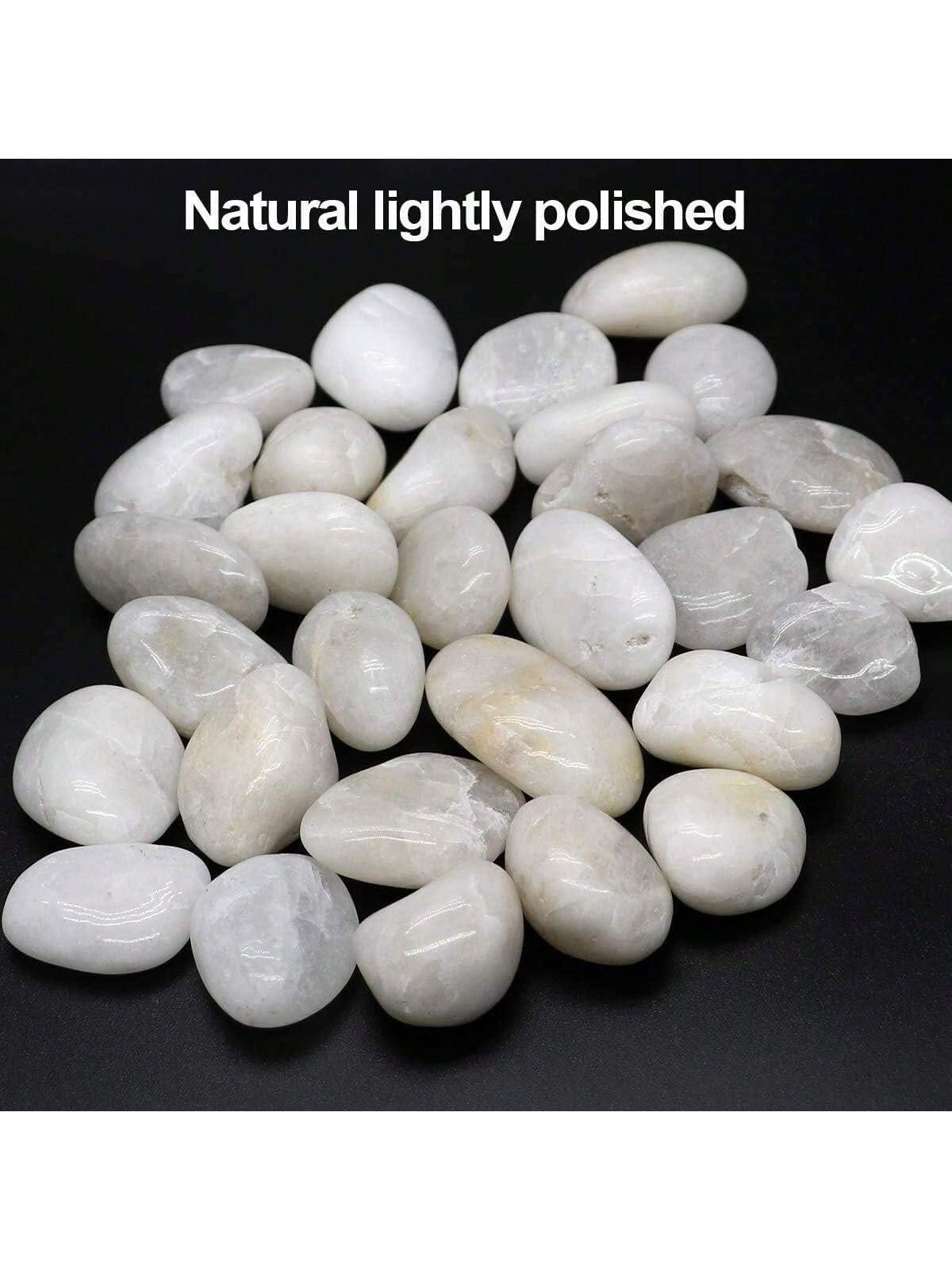 River Rocks Decoratieve Sier W - Marine Aquarium Tanks recensie en prijs