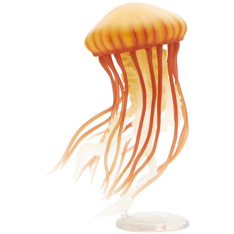 Kwallen Gashapon Figuur Kitan  - Marine Aquarium Kit recensie en prijs