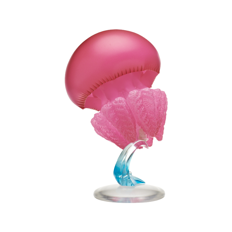 Kwallen Gashapon Figuur Kitan  - Marine Aquarium Kit recensie en prijs