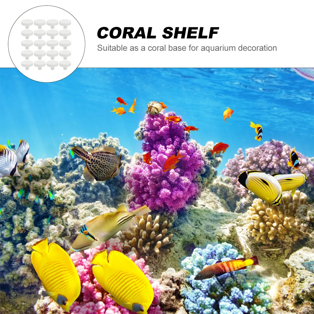 20 Stuks Koraal Lijm Reef Veil - Coral Frag Plug recensie en prijs