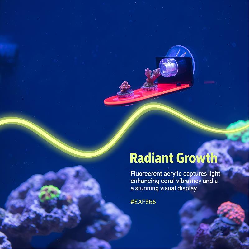 Acryl Coral Frag Bracket 1 Stu - Coral Frag Plug recensie en prijs
