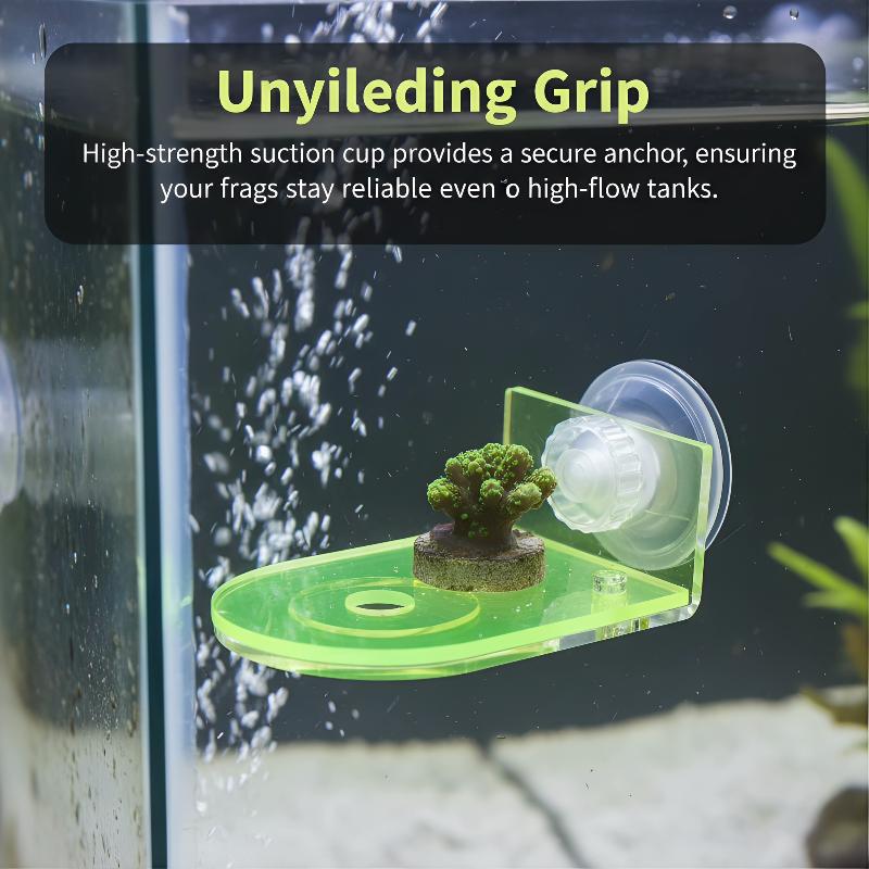 Acryl Coral Frag Bracket 1 Stu - Coral Frag Plug recensie en prijs