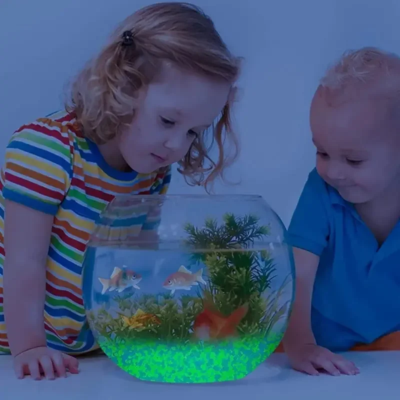 1000 stks 3-5mm Lichtgevende Z - Marine Aquarium Tanks recensie en prijs