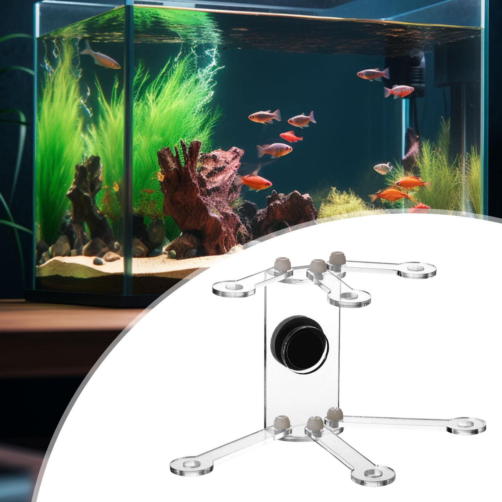 Aquarium Koraalstandaard Verpl - Coral Frag Plug recensie en prijs
