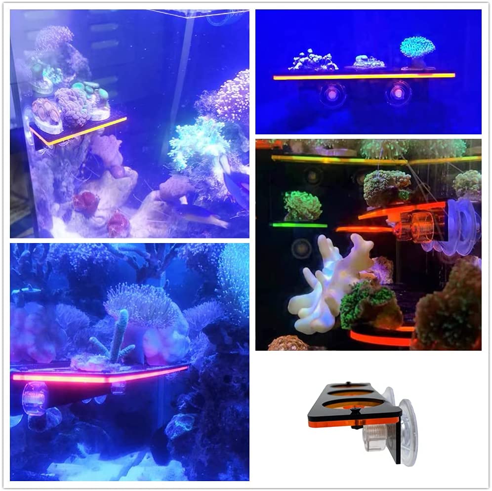 Fluorescerend Koraal Frag Plug - Coral Frag Plug recensie en prijs