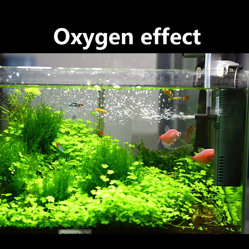 Sunsun Mini Nano 111b 311b 611 - Marine Aquarium Kit recensie en prijs