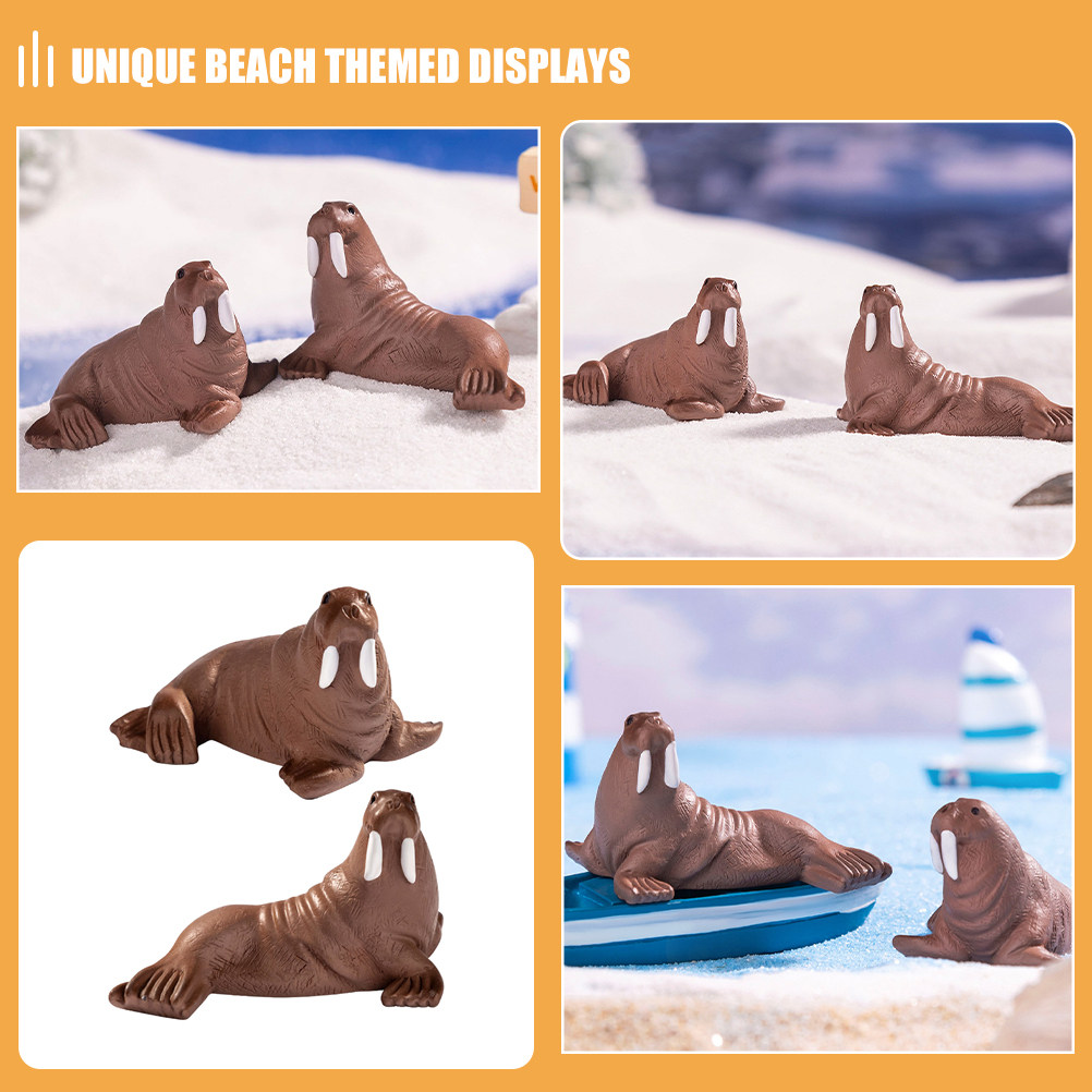 2 stuks mini hars walrus zeedi - Aquarium Marine recensie en prijs