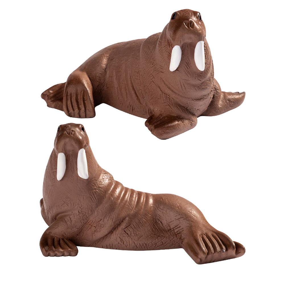 2 stuks mini hars walrus zeedi - Aquarium Marine recensie en prijs