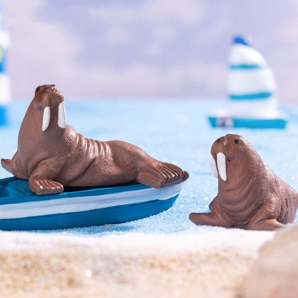 2 stuks mini hars walrus zeedi - Aquarium Marine recensie en prijs